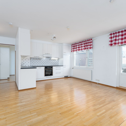 Olohuone ja keittiö