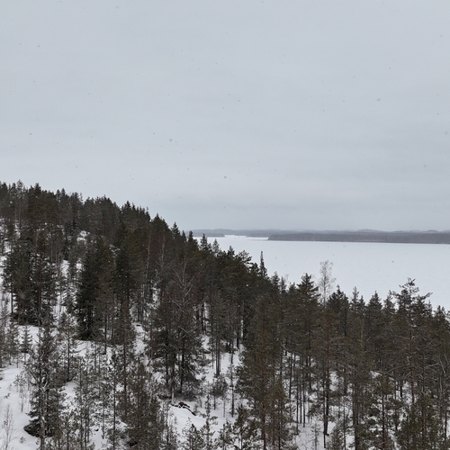Metsätila, Vuorenperäntie, Savonlinna, Metsätila, 26,12 ha, 90 000,00 €