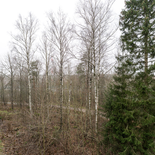 Näkmät puistoalueelle