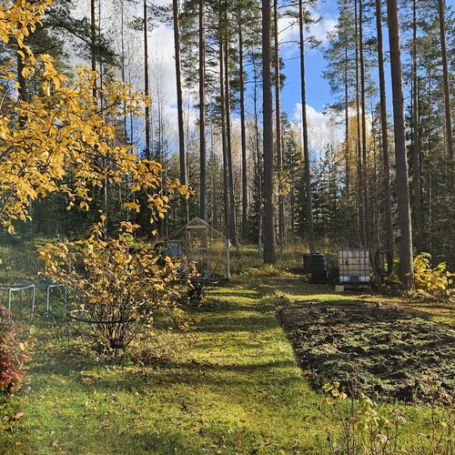 kotitarveviljelykseen myös kasvihuone