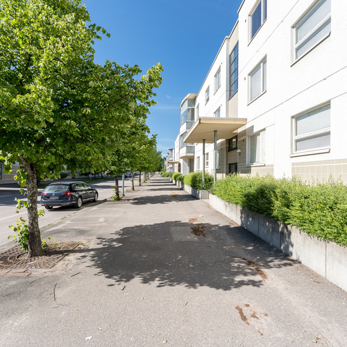 Puistomainen katu