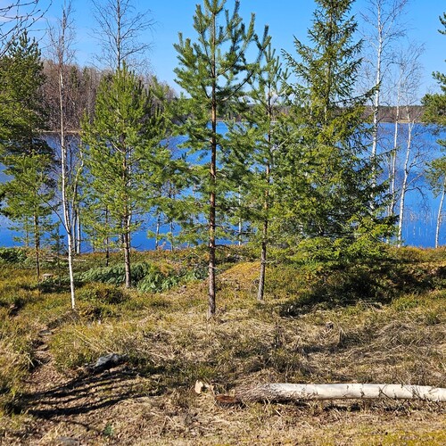 Näkymä terassilta.