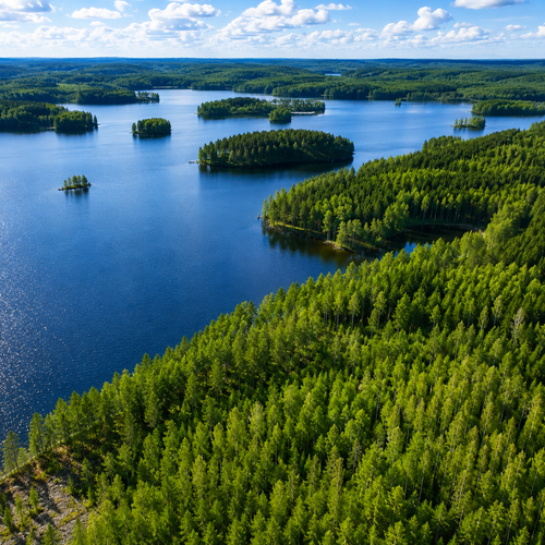 Vapaa-ajan tontti, Mannilantie 469, Kangasniemi, Vapaa-ajan rantatontti RA, rak oik yht 200krsm2, 1,80 ha, 120 000 €