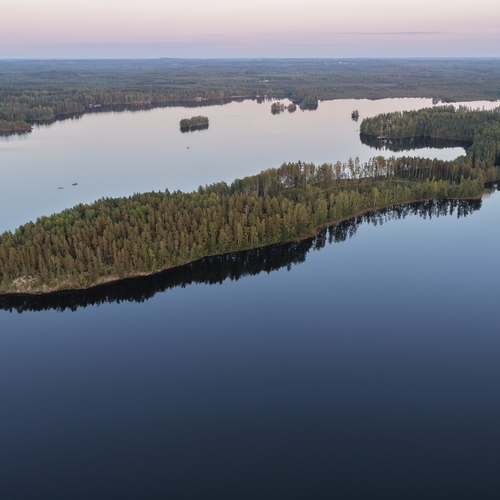 Vapaa-ajan tontti, Luhtaviitantie / Lammasniementie, Hirvensalmi, Rantatontti nro 1. RA, rak oik 250krsm², 5 000 m², 135 000 €