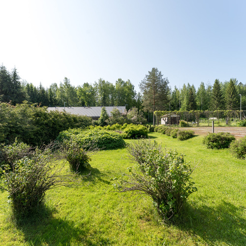 Itäpäädyn istutuksia