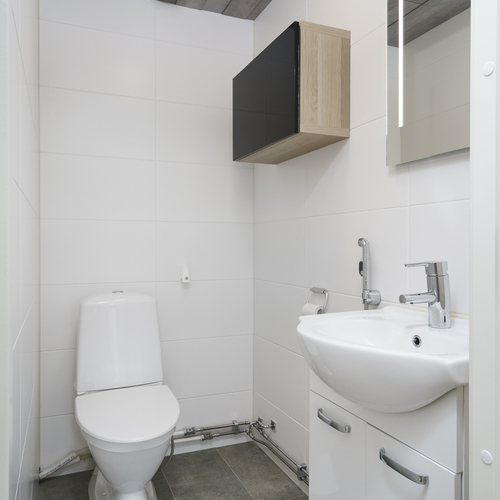 Erillinen wc