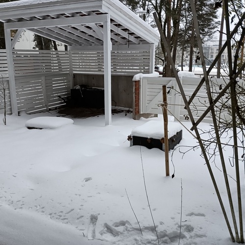 Talvikuva