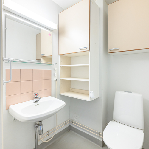 Erillinen wc