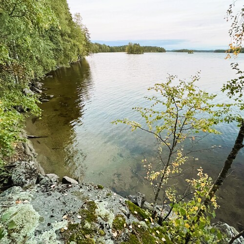 Vapaa-ajan tontti, Hirvensalmi, Suurenniementie 100, Vapaa-ajan rantatontti, Puula, RA, rak oik 250krsm2, 7 200,00m², 48 000,00 €