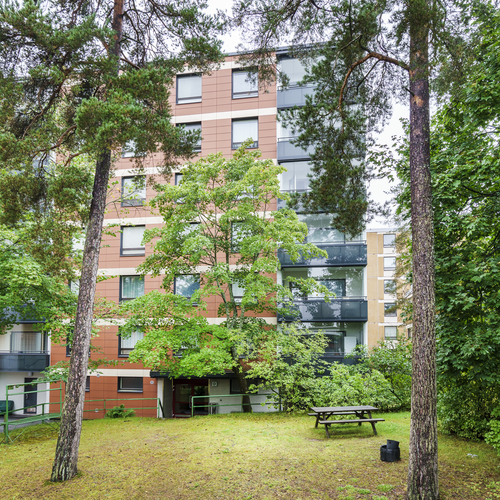 Metsäinen tontti