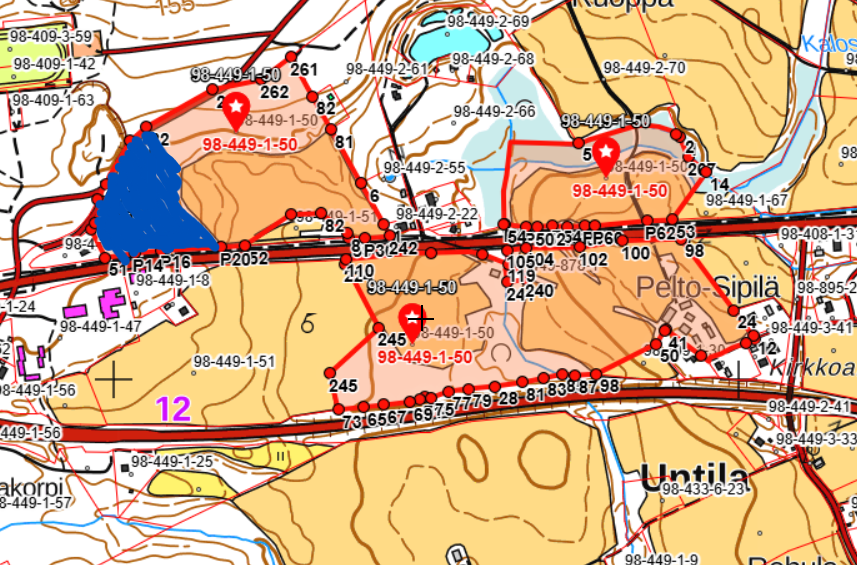 Kotipalsta, määräalapidätys merkittysinisellä