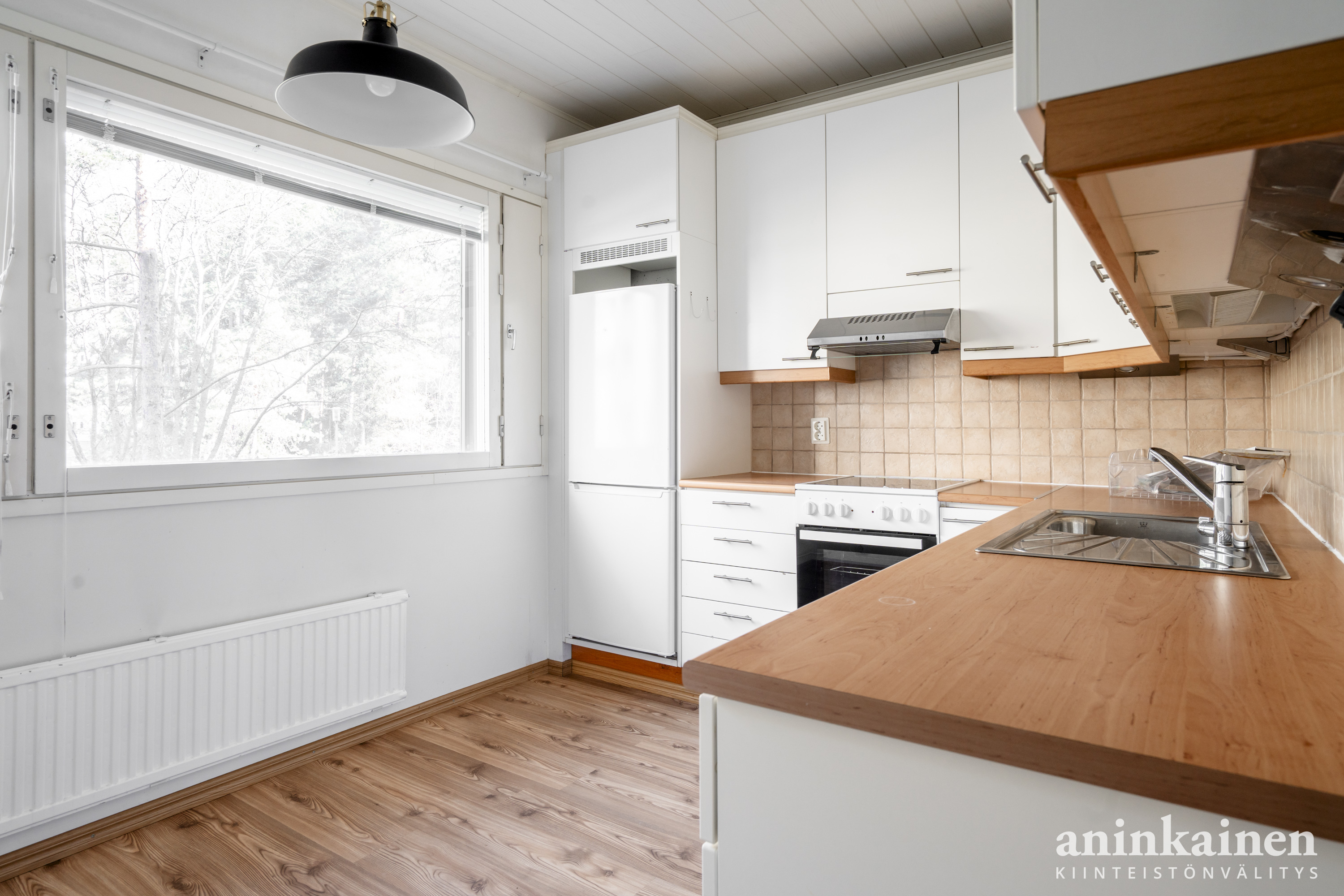 Friskinpolku 14 pienoiskuva 4