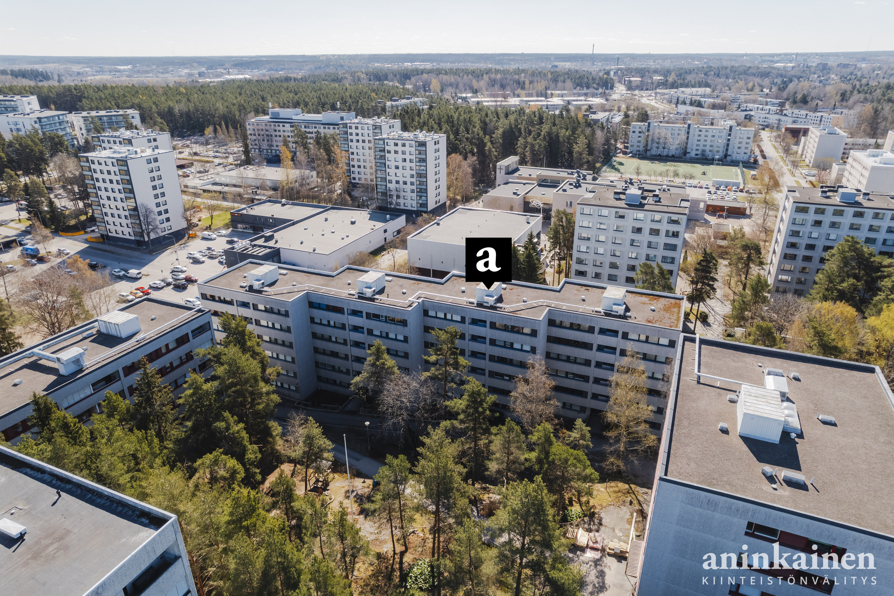Friskinpolku 14 pienoiskuva 3