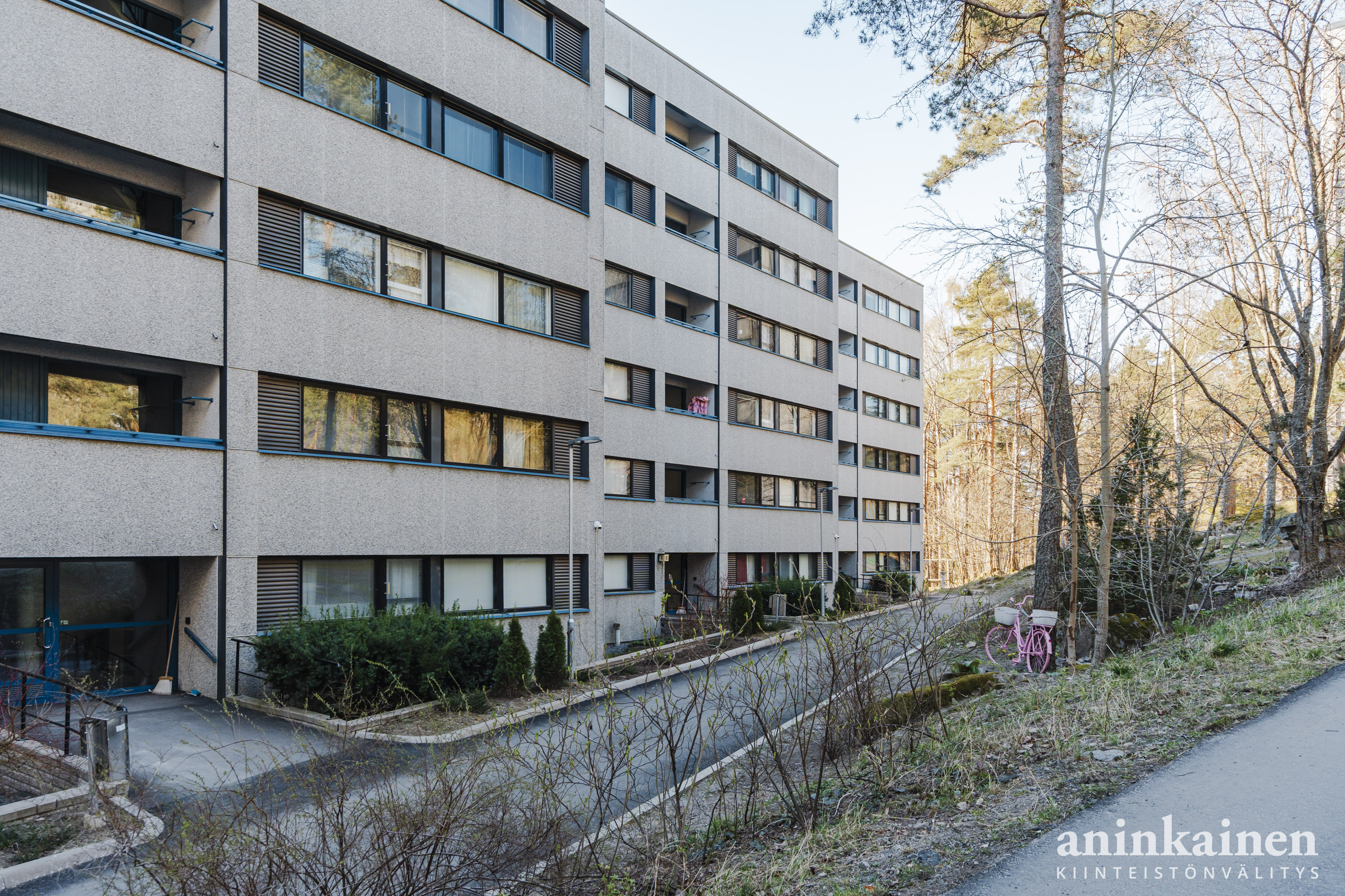 Friskinpolku 14 pienoiskuva 24