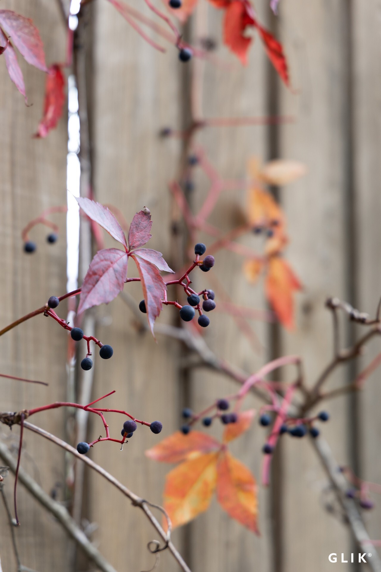 Lehvänkatu 20, 33820 Tampere