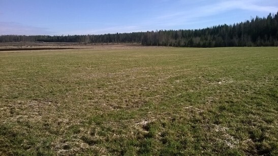 ESTATE_PROPERTY, Kynsivedentie 233, Hankasalmi