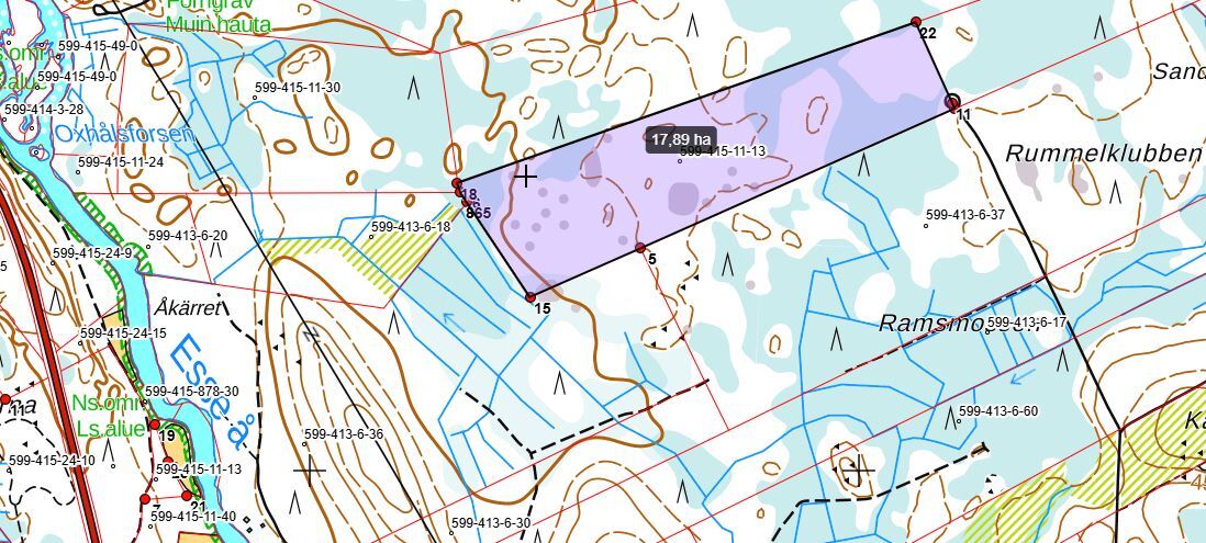 metsätila, del av/osa 599-415-11-13 Skogsskiftet, ESSE