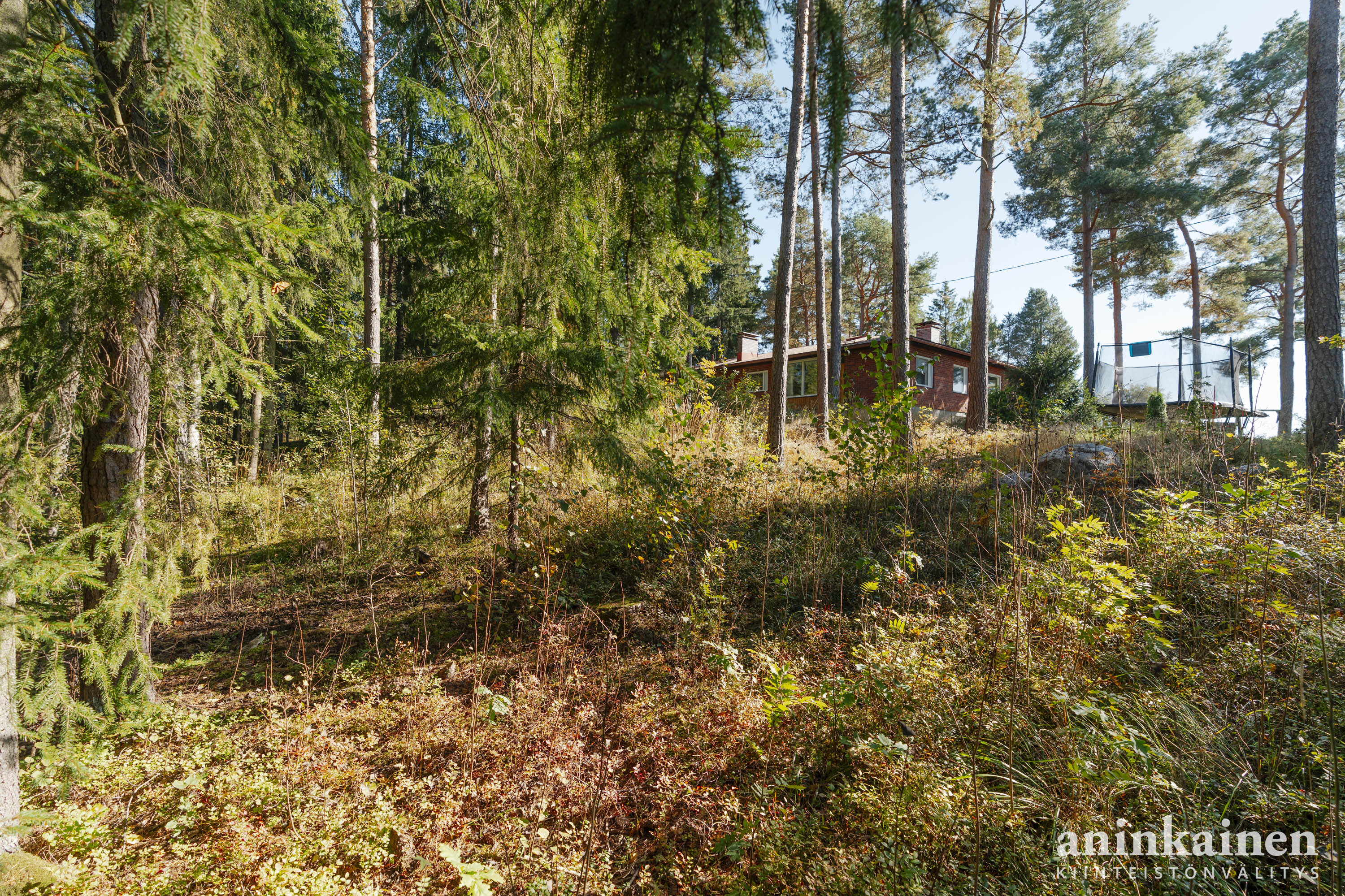 Päitsikatu 7a ja 7b pienoiskuva 10