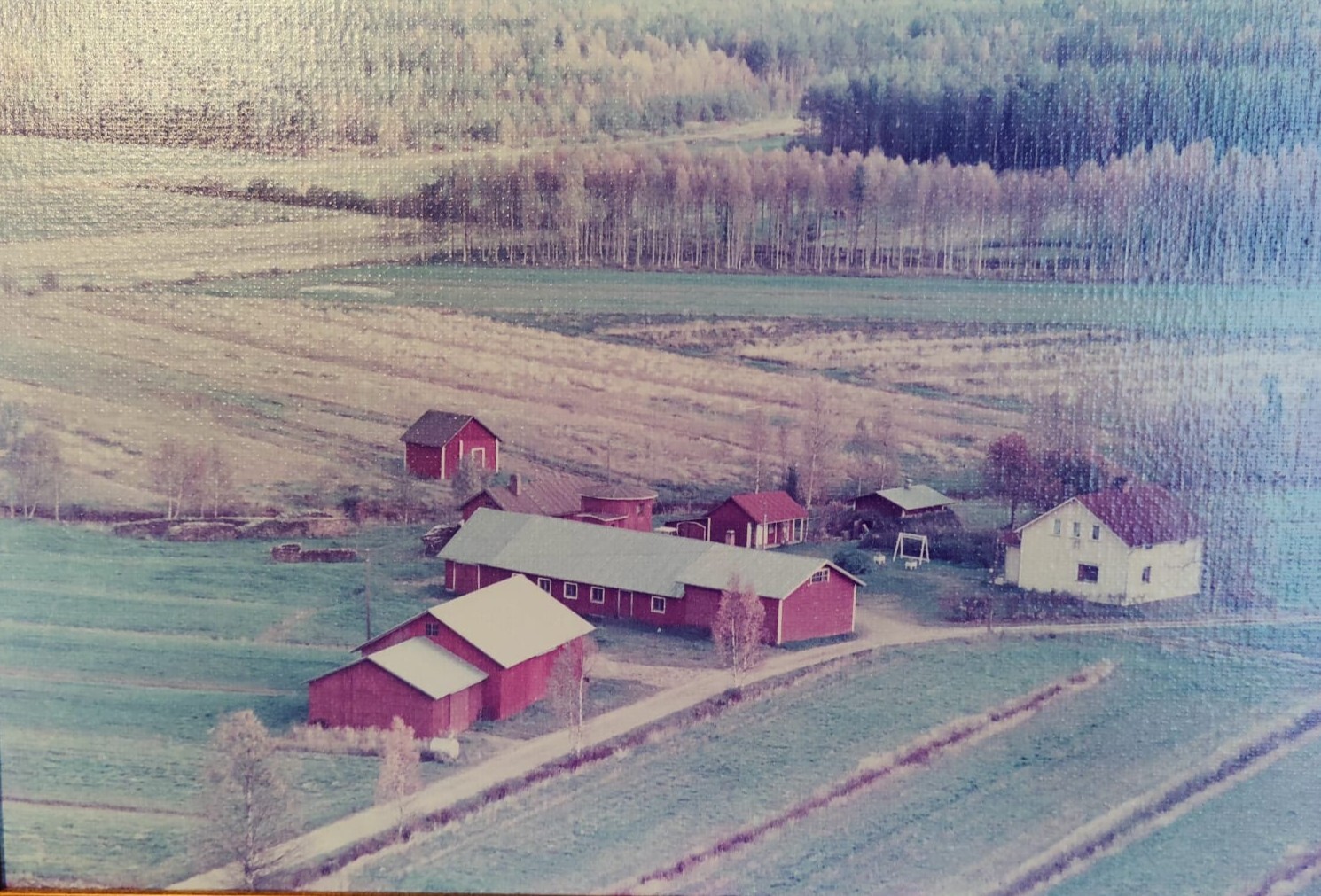 maatila, Kalaojantie 31, Utajärvi