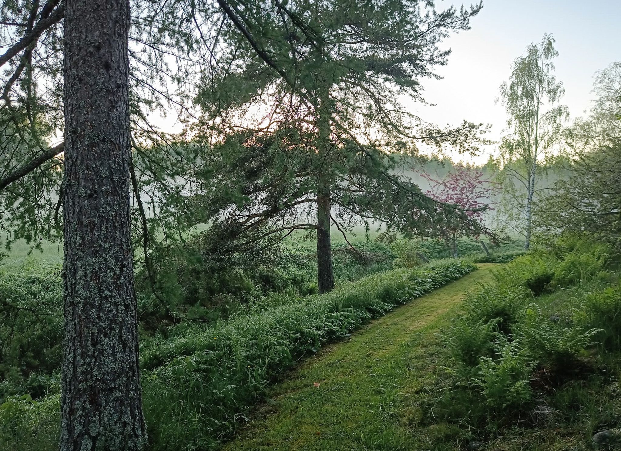Ahulinjärventie 46, 36200 Kangasala