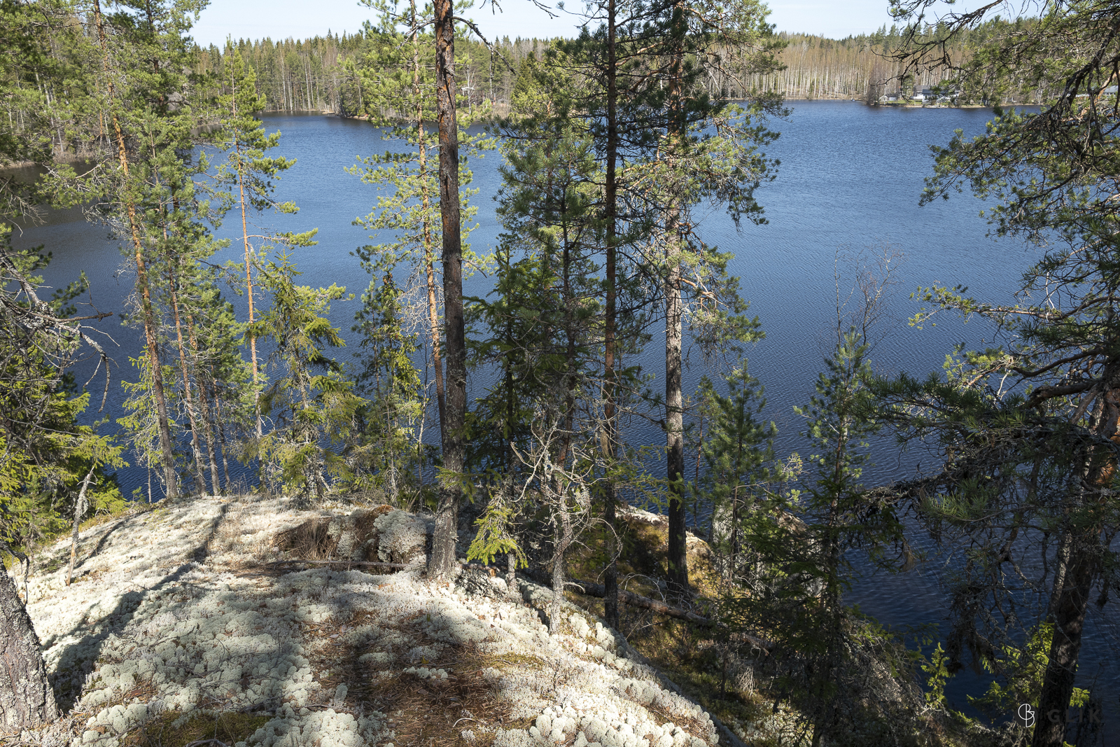 Mustakalliontie 91, 34260 Tampere