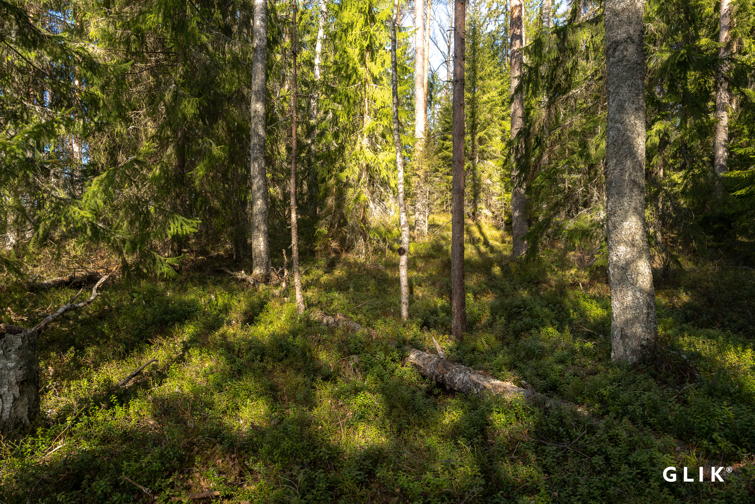 Teerentaival 183, 17930 Päijälä