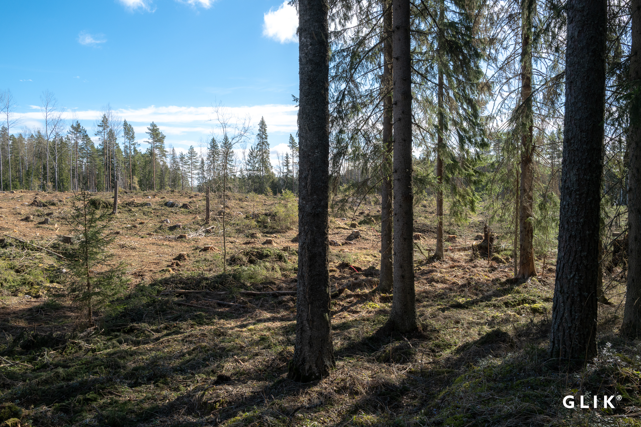 Teerentaival 183, 17930 Päijälä