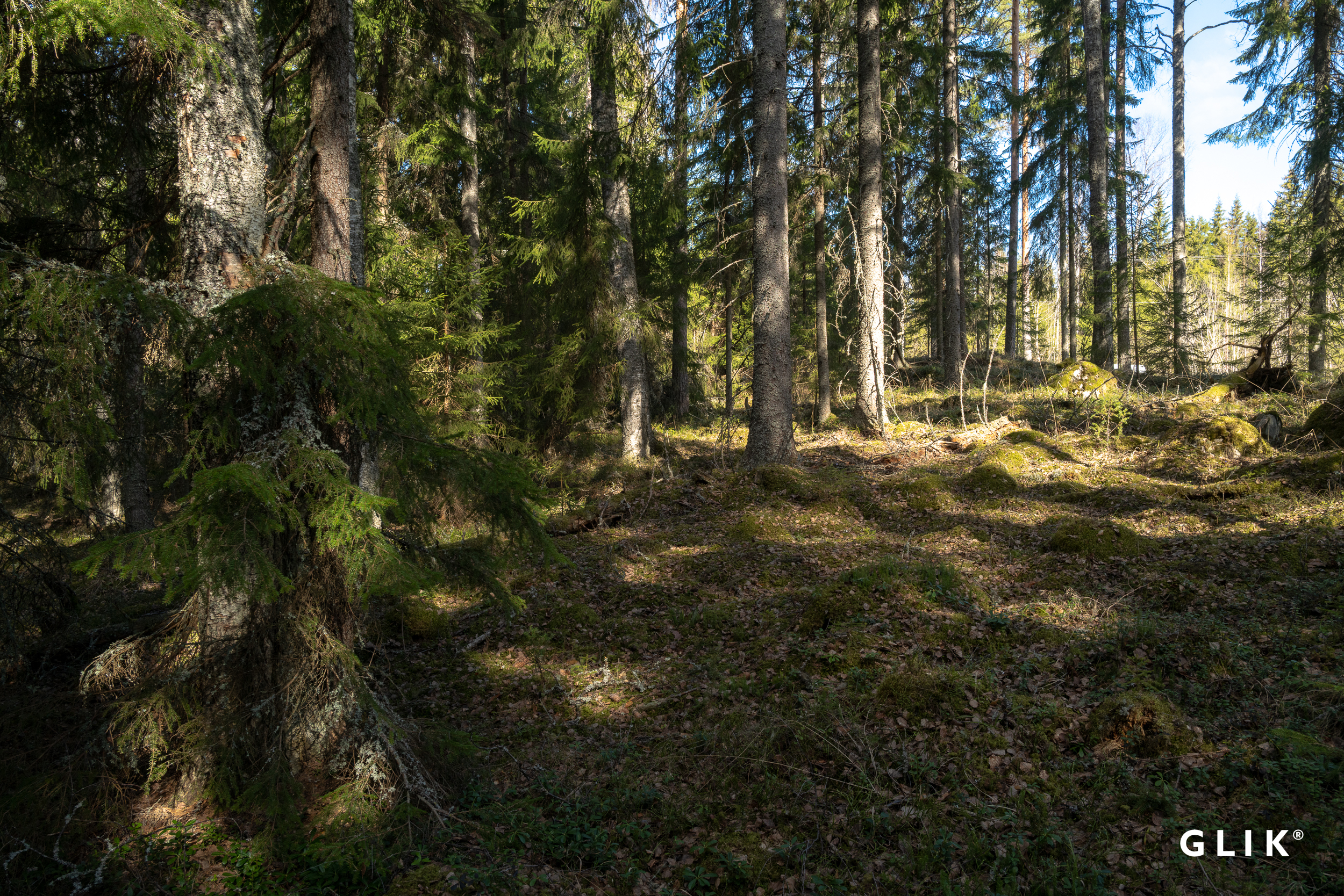 Teerentaival 183, 17930 Päijälä