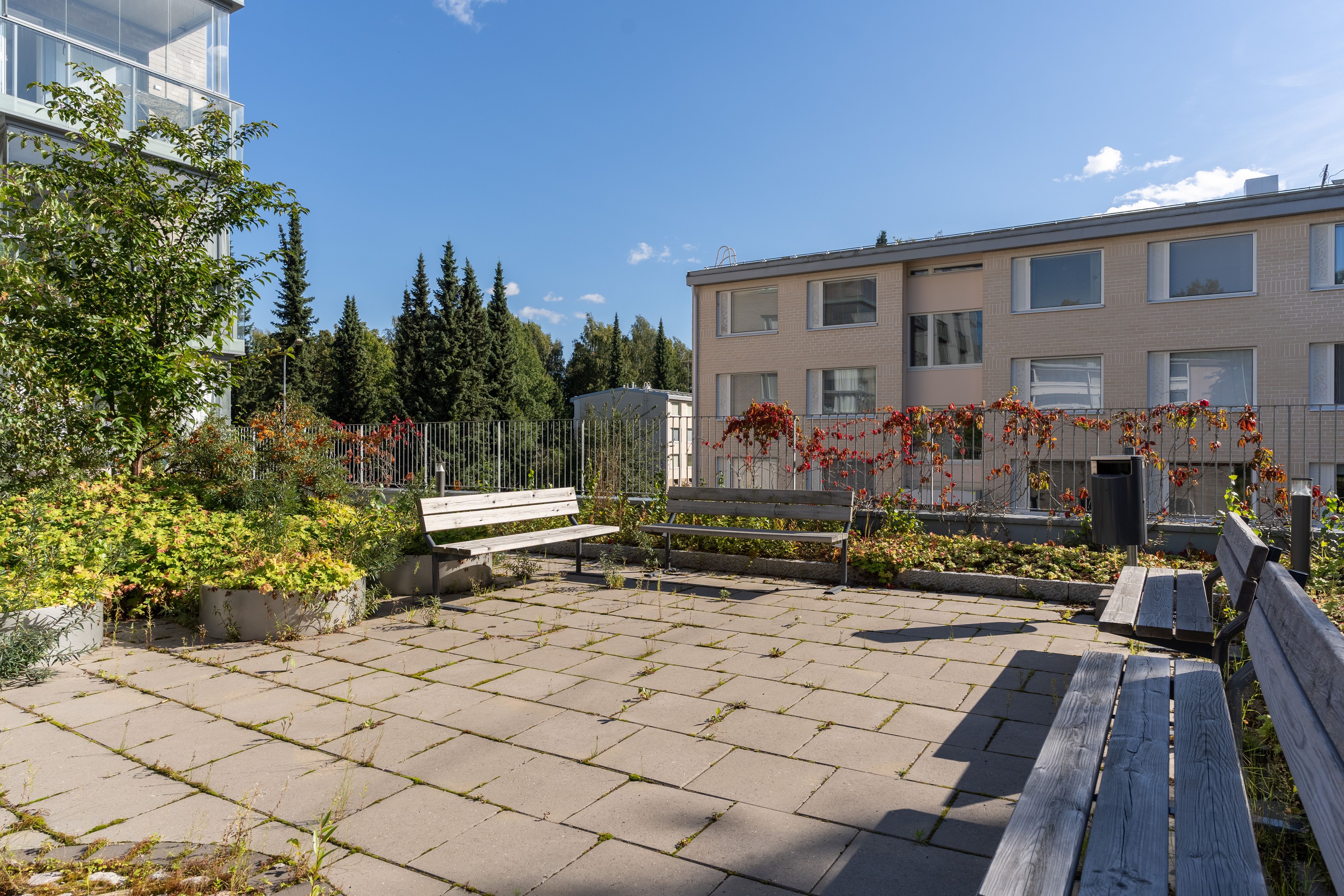 Kuva