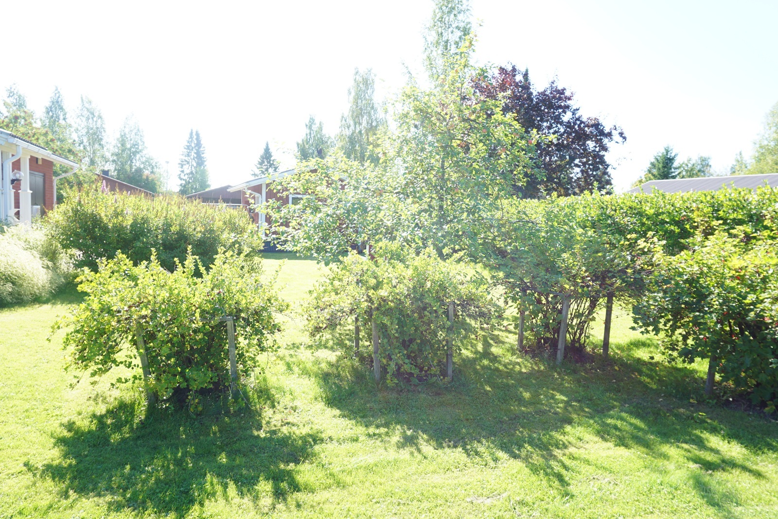 Linjamaankatu 6 pienoiskuva 31