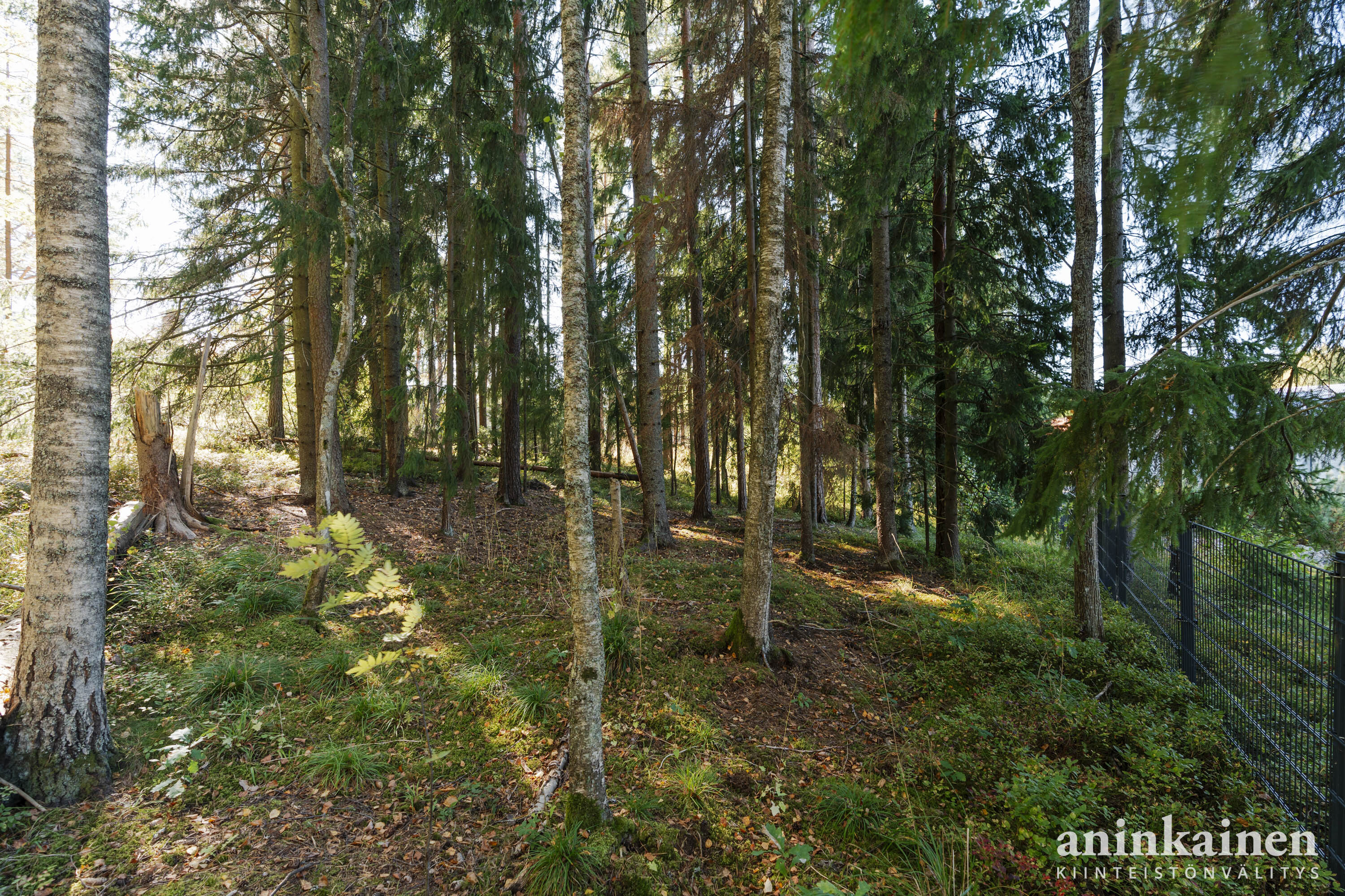 Päitsikatu 7b pienoiskuva 13