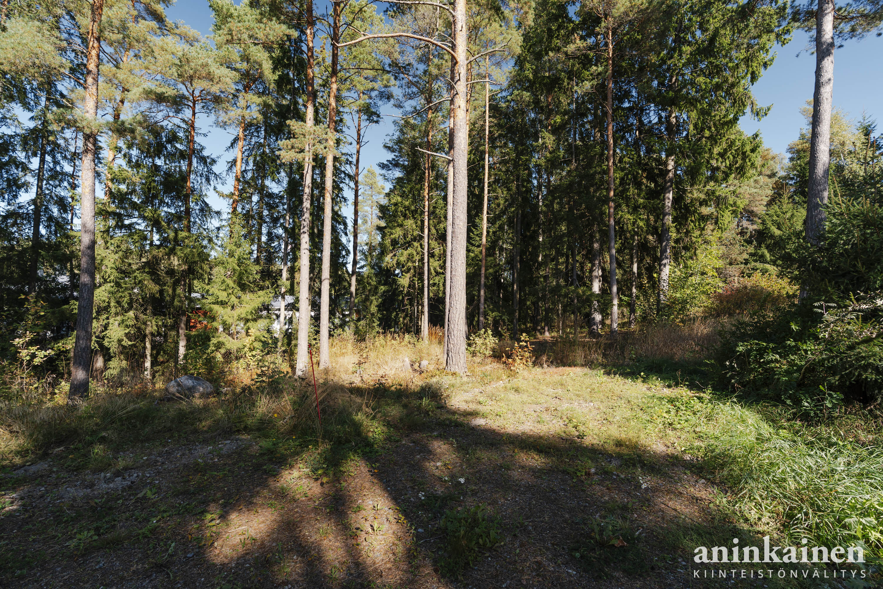 Päitsikatu 7b pienoiskuva 9