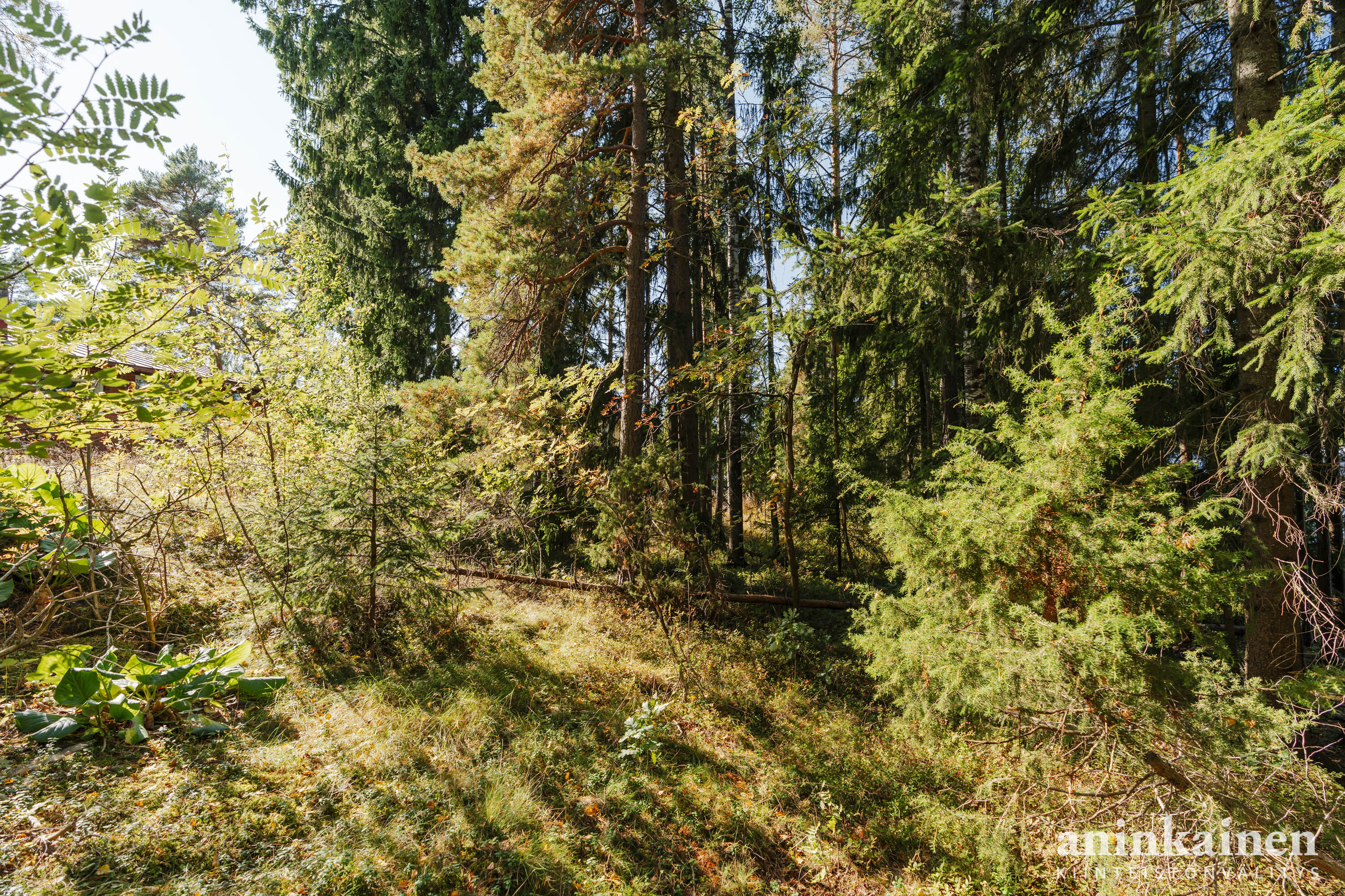 Päitsikatu 7b pienoiskuva 12