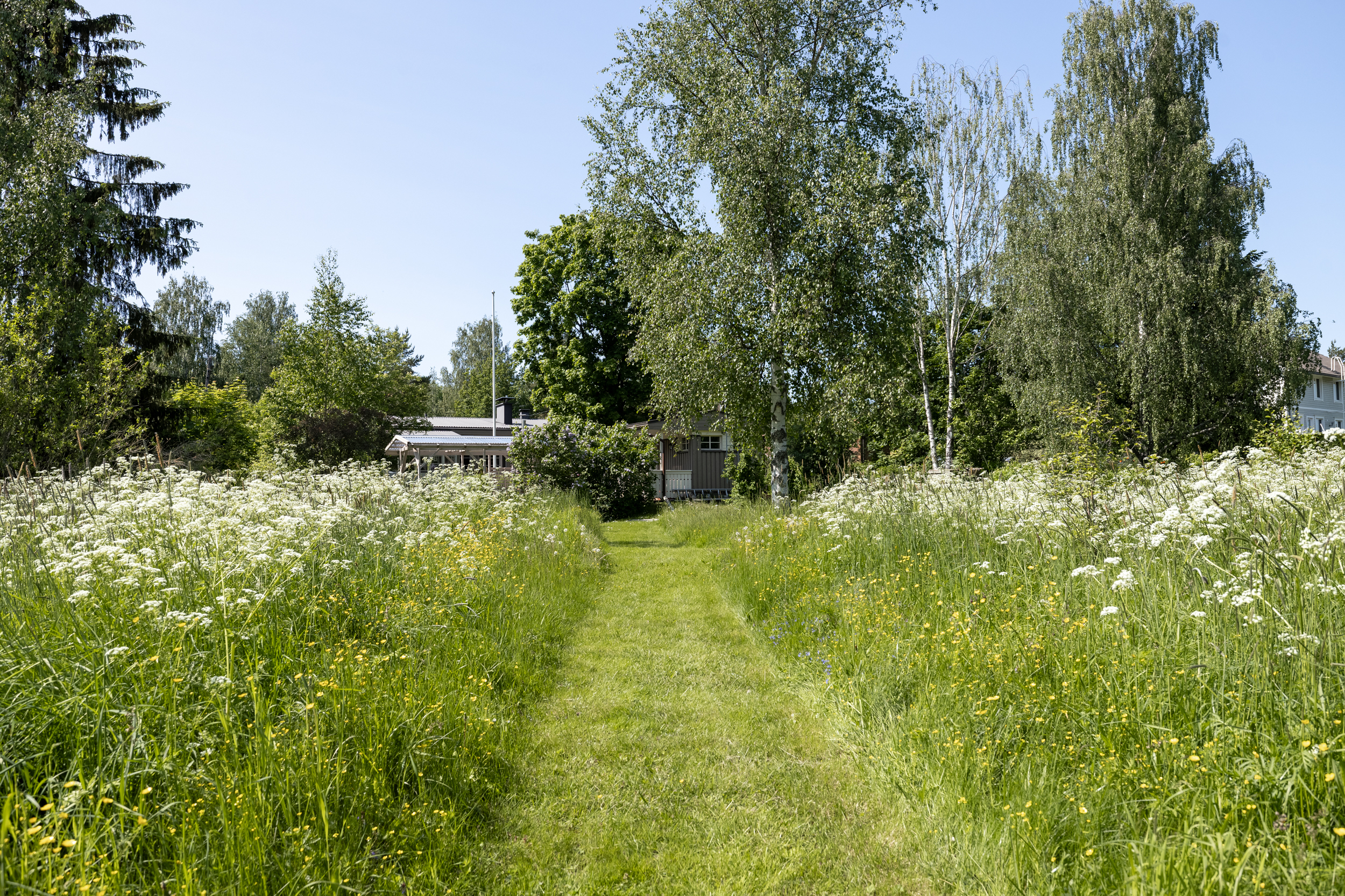 Särkipolku 5, 37550 Lempäälä
