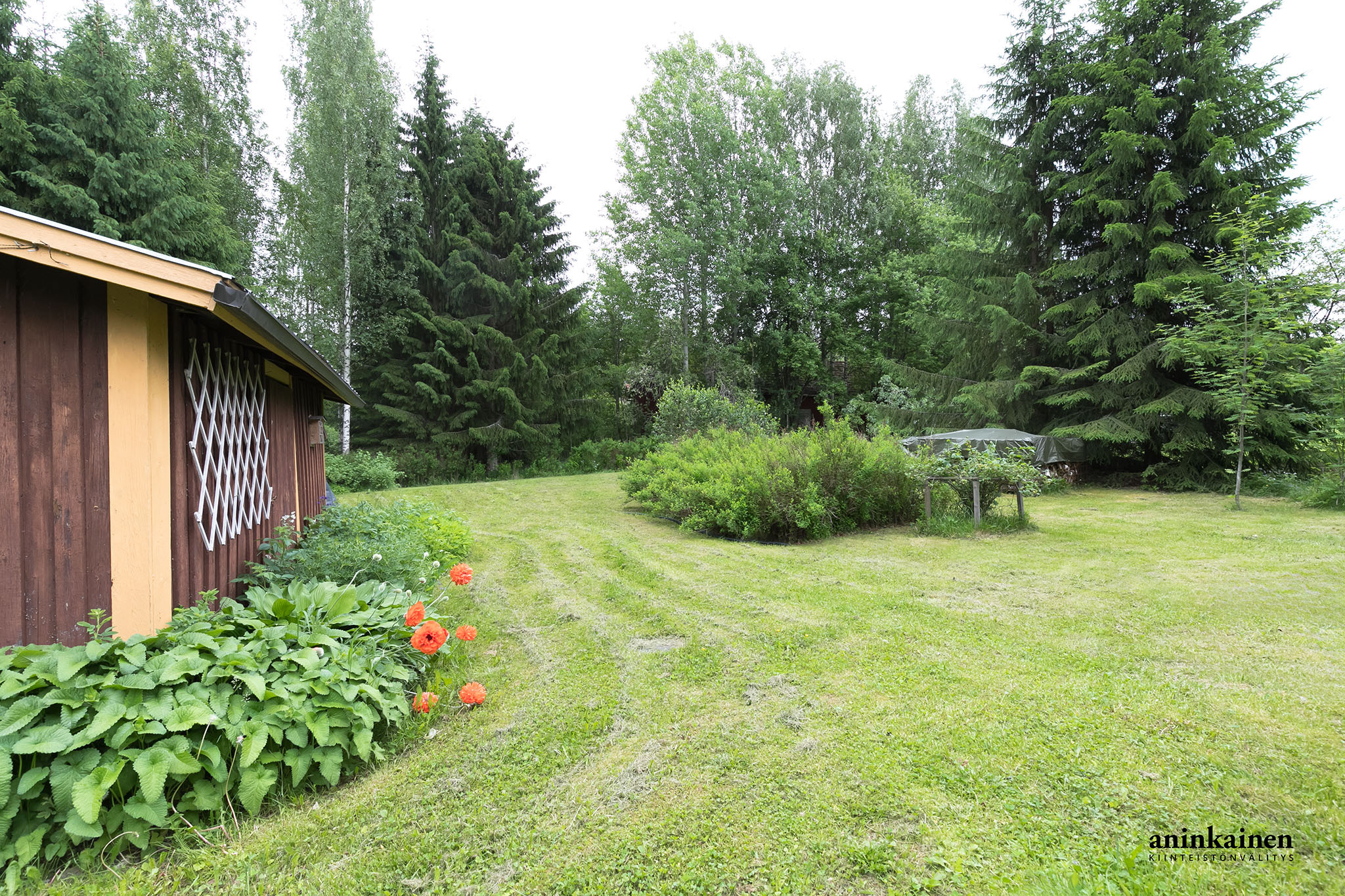 Mikkolantie  pienoiskuva 25
