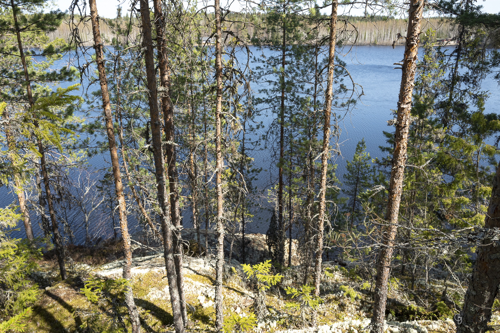 Mustakalliontie 91, 34260 Tampere