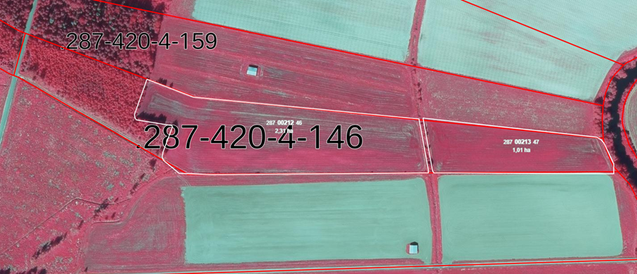 Basskikiften / Peruslohkot