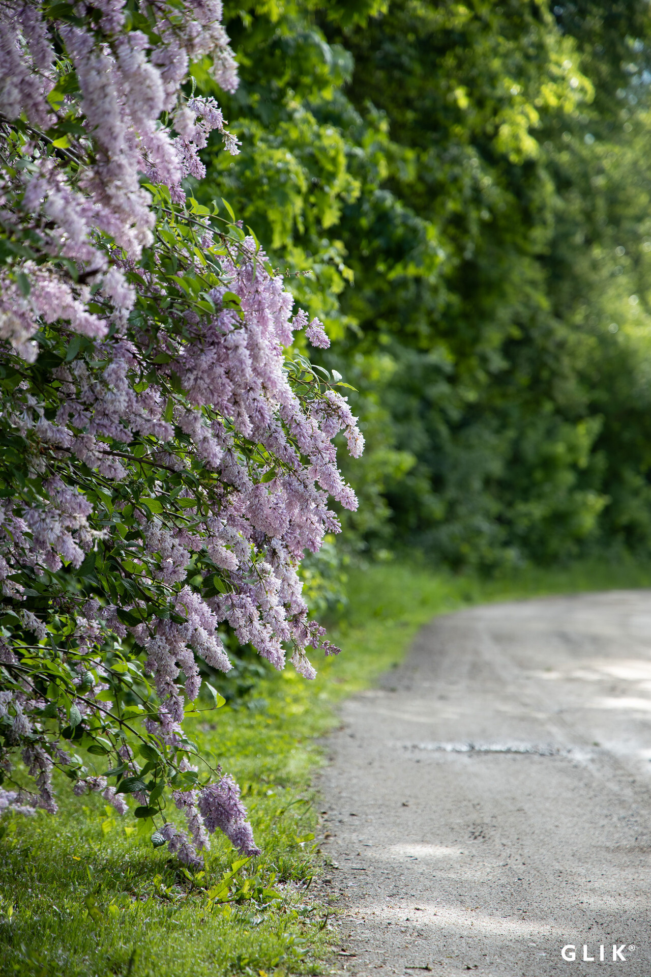 Puntarinraitti 52, 36810 Kuhmalahti