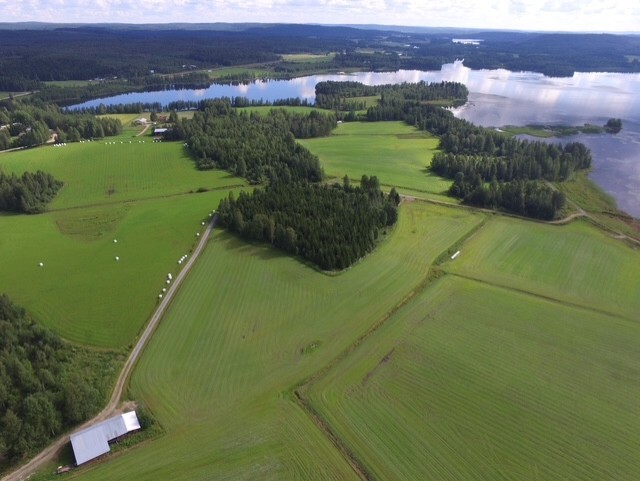 peltoalue, Ylä-Valtimontie 75, Valtimo