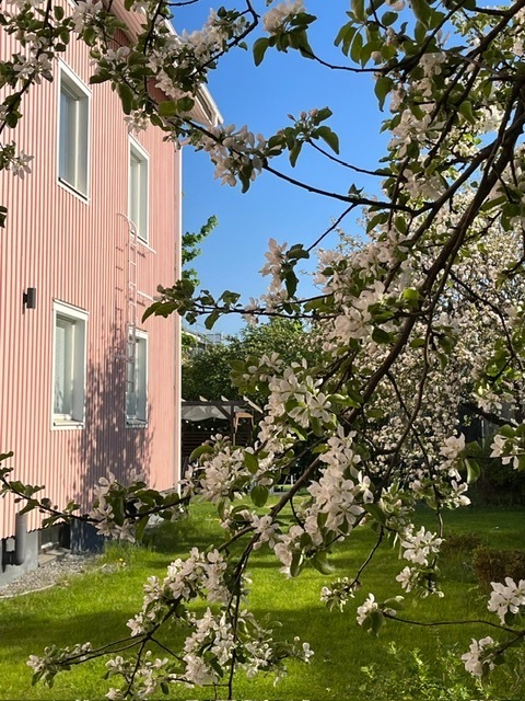 Kuokkamaantie 5, 33800 Tampere