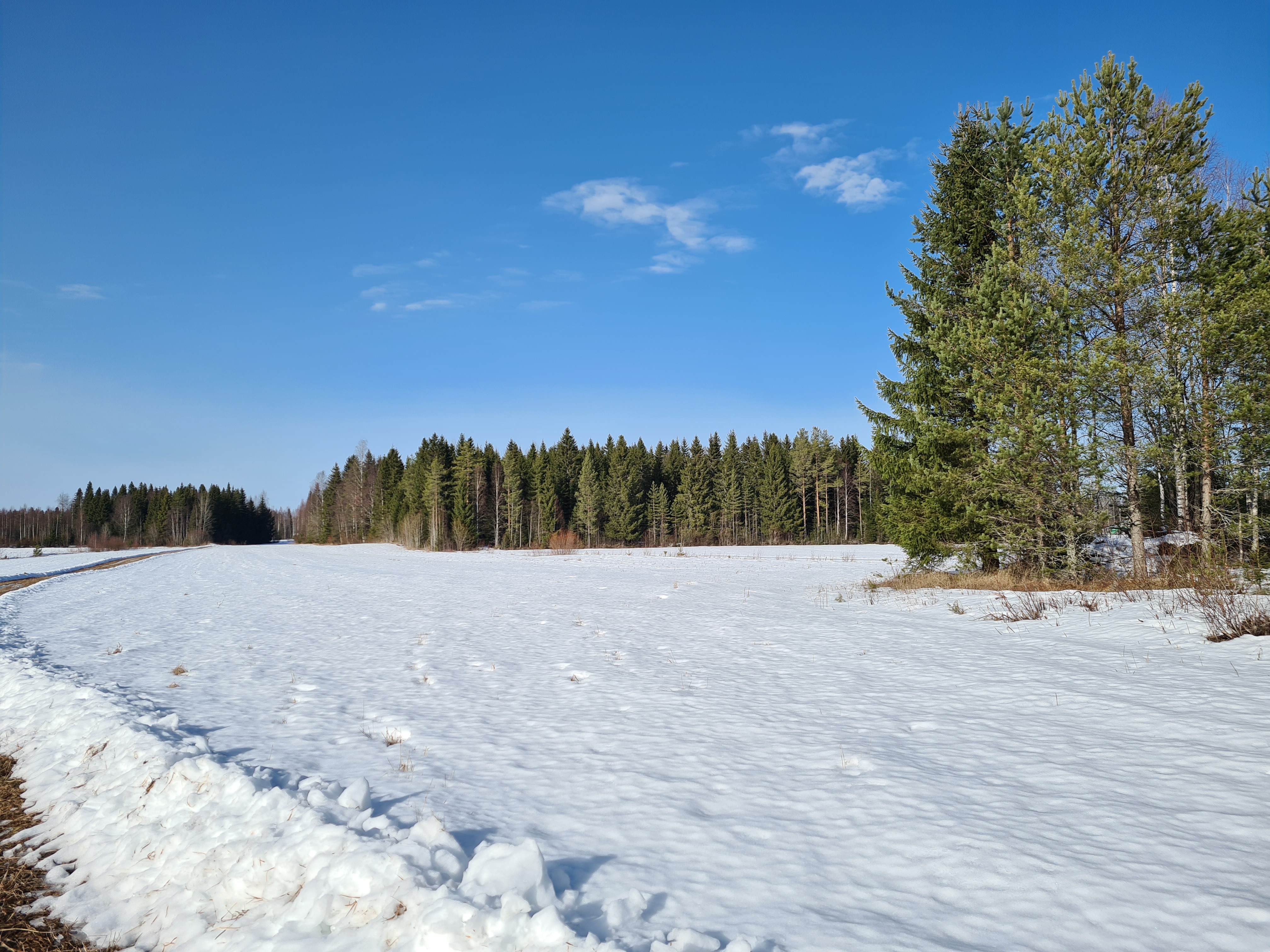 peltoalue, Purolantie 920, Kiminki