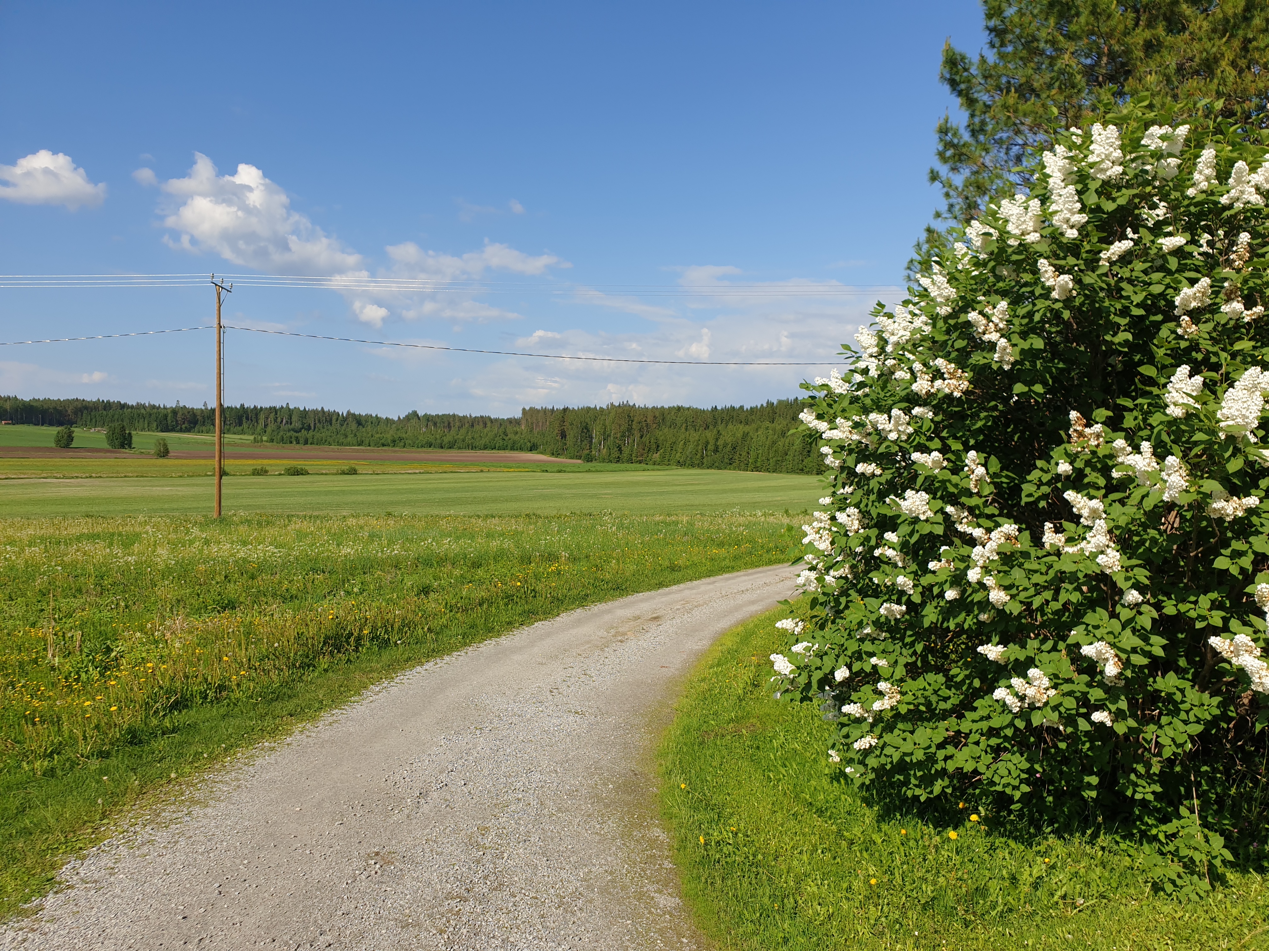 omakotitalo, Kynsivedentie 233, Hankasalmi