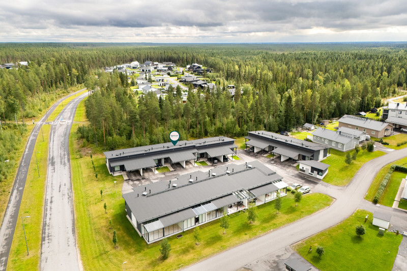 Käpälälauta 1