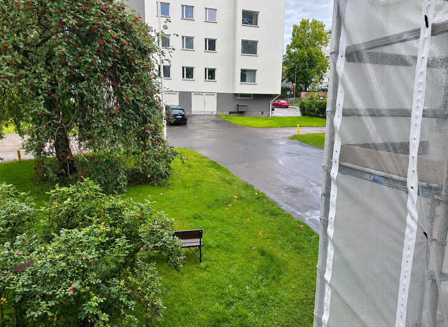 Kuva