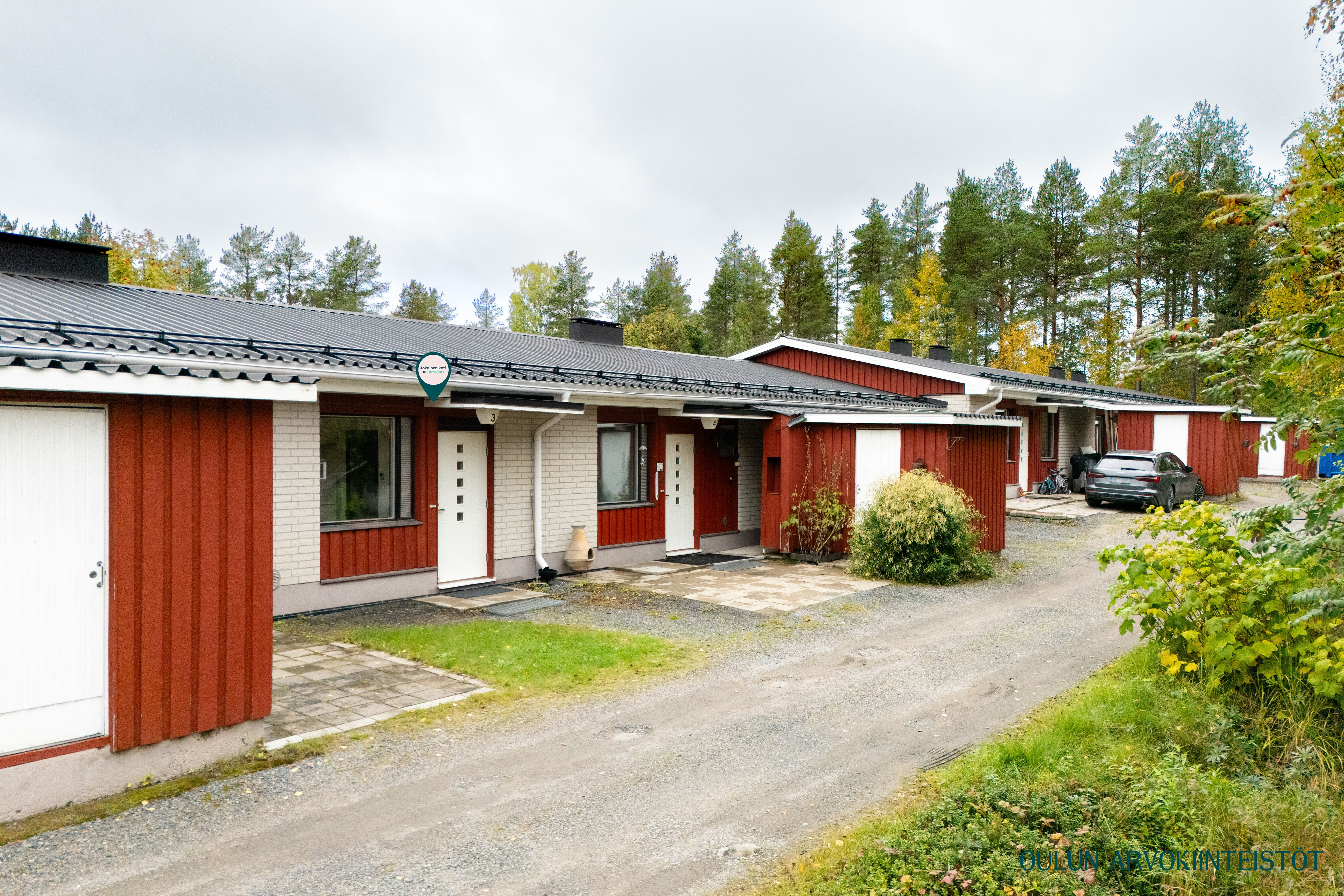 Kanervaraitti 3