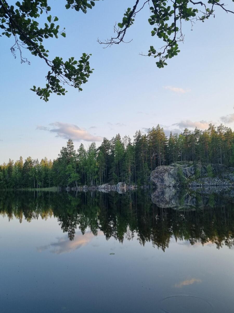 Myyjän albumista