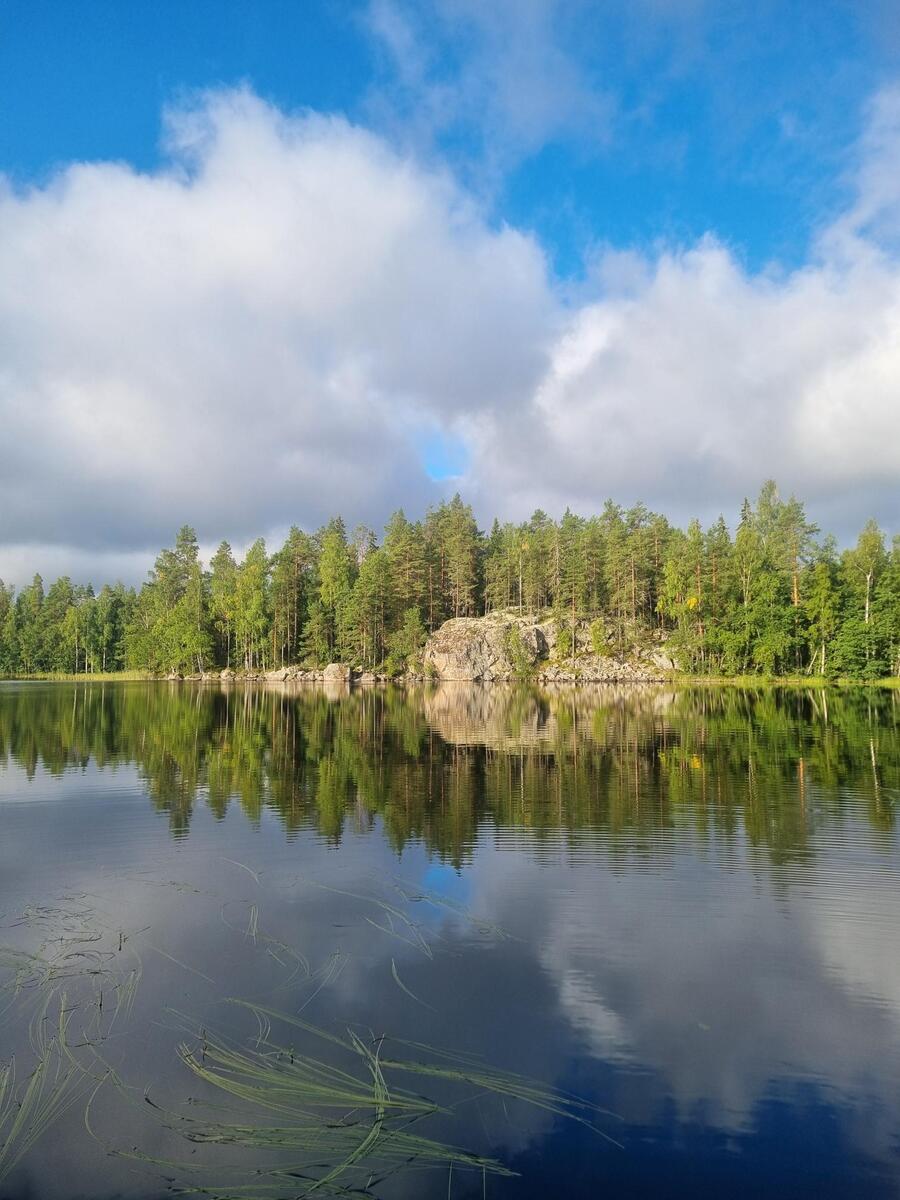 Myyjän albumista