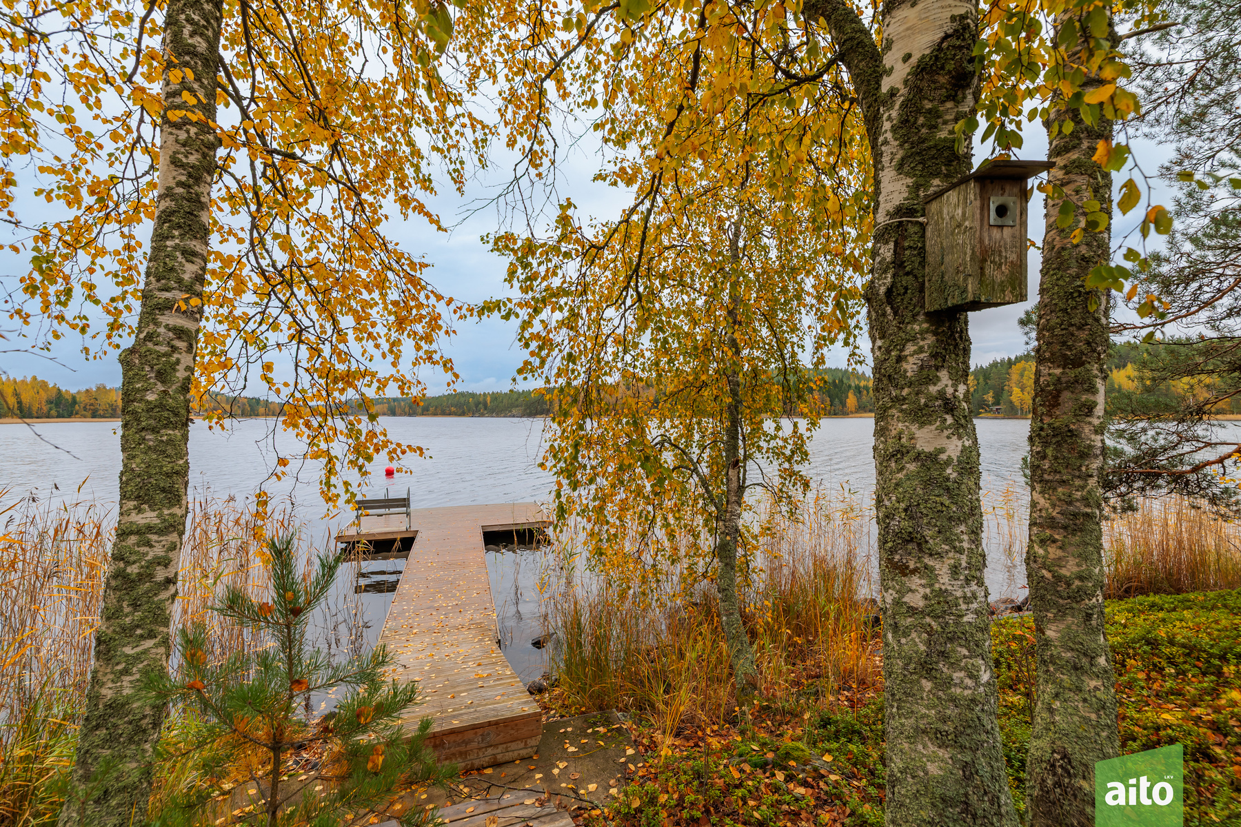 Laituri.