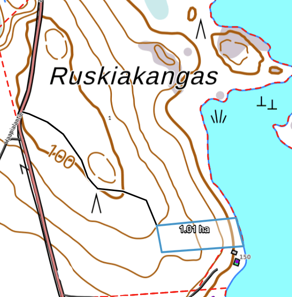 Tielinja
