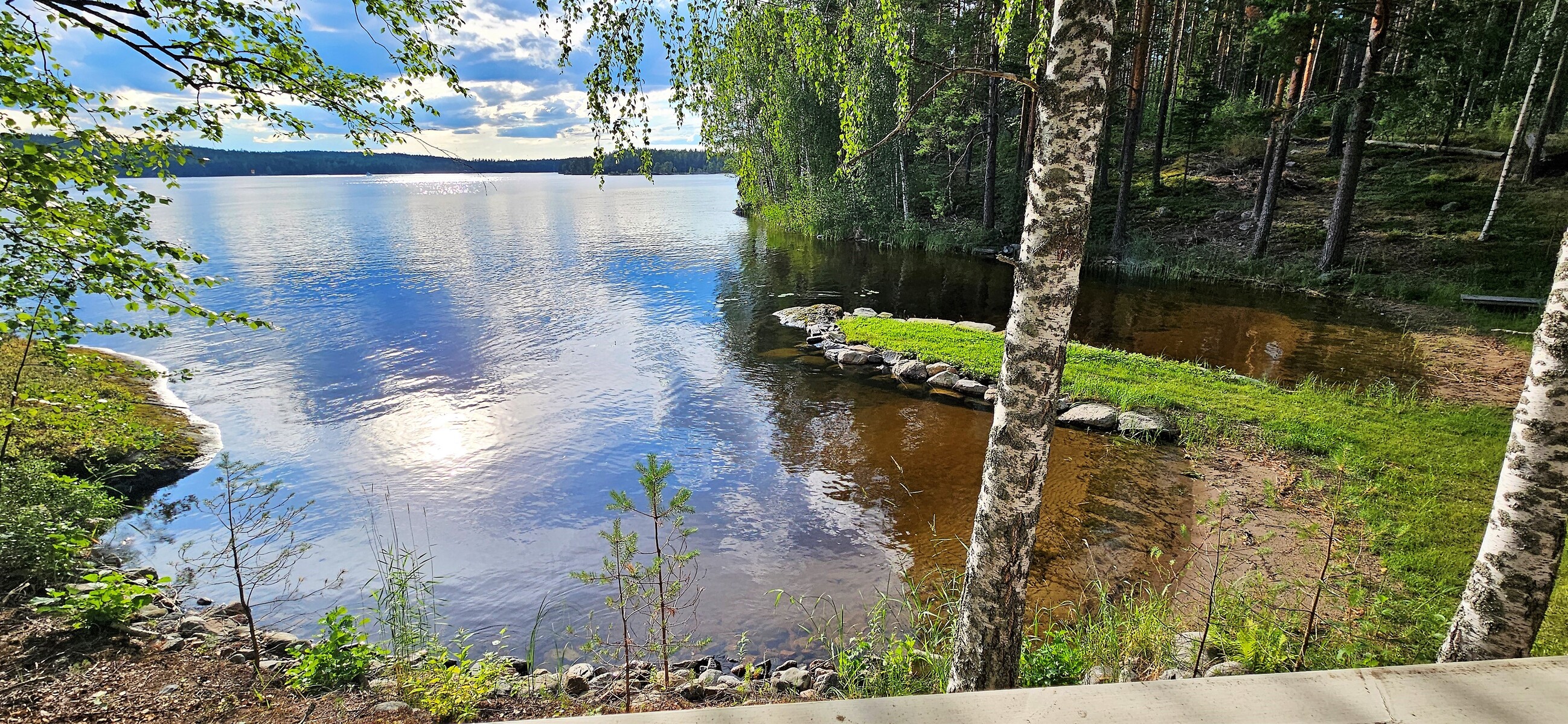 Aitasta näkymä.